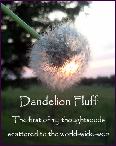 Toni Umbarger | Thoughtseeds | dandelion fluff 